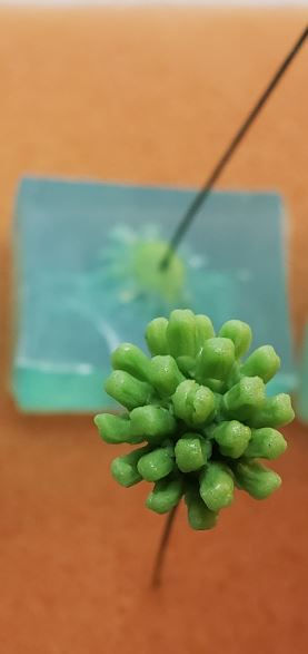 Dogwood center mold M (mid bloom) 913m