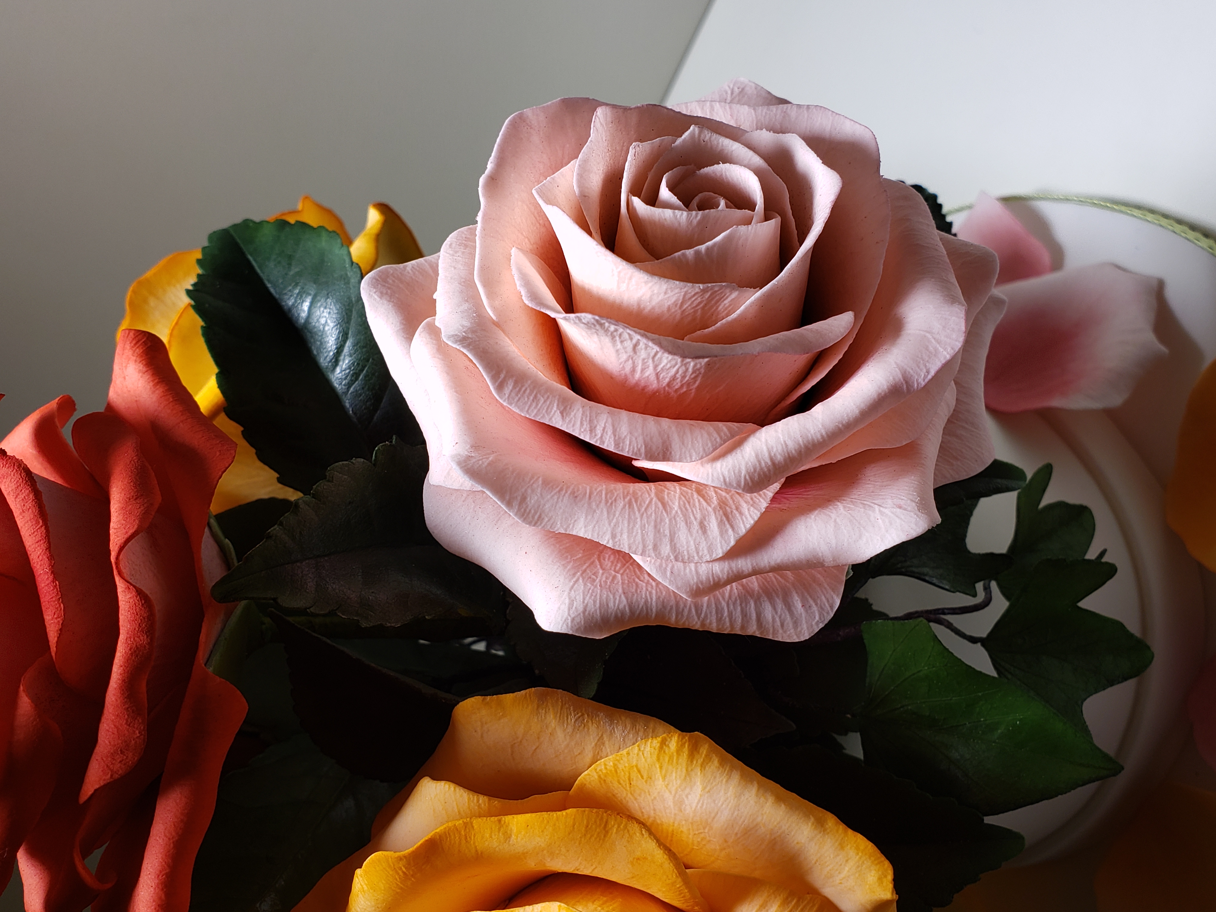 sugar rose