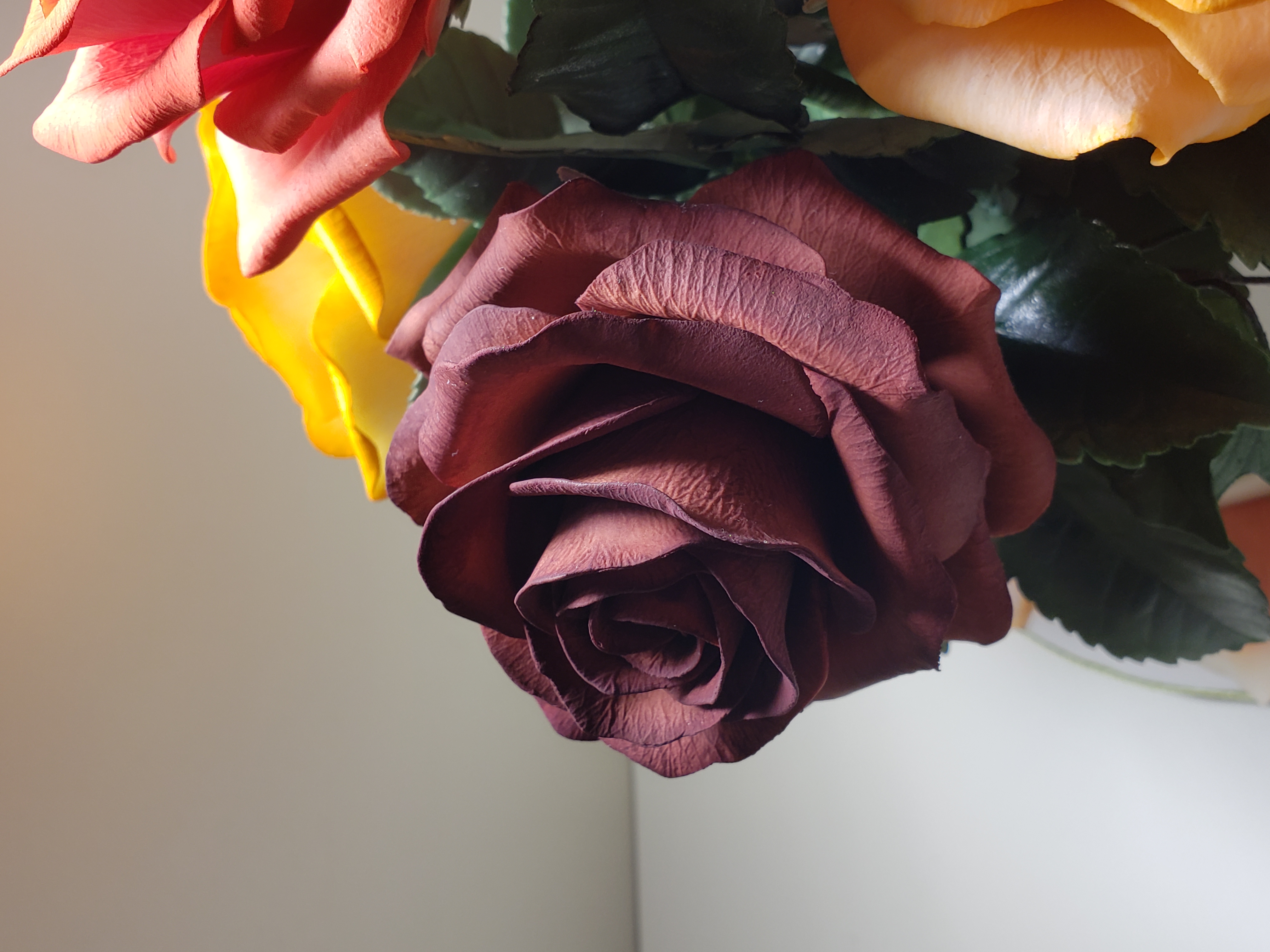 sugar rose