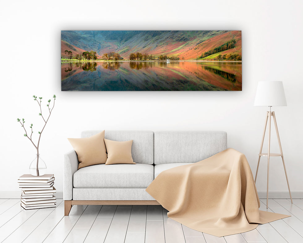 Thumbnail: Panoramic photography canvas prints of an autumn morning looking out to a row of pine trees at Buttermere, Lake District.