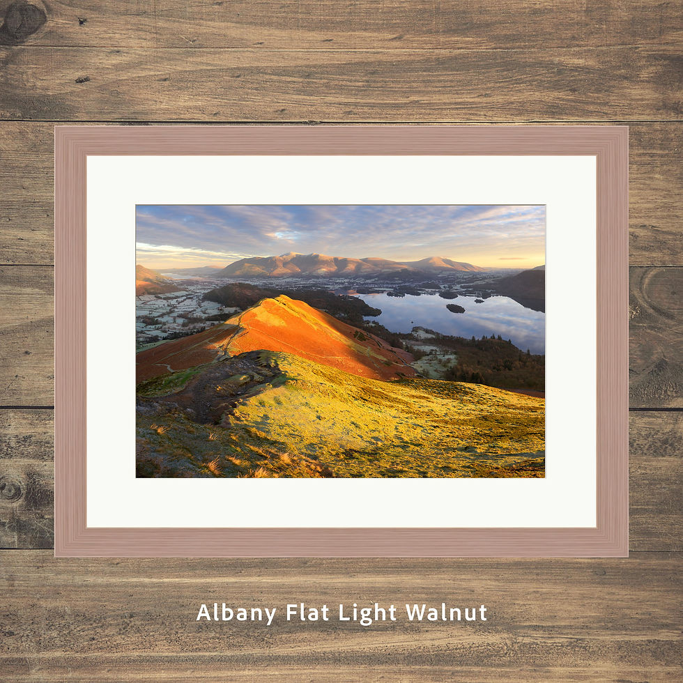 Thumbnail: Glorious golden hour morning views seen from Catbells, overlooking Derwentwater, Keswick and Skiddaw in The Lake District.