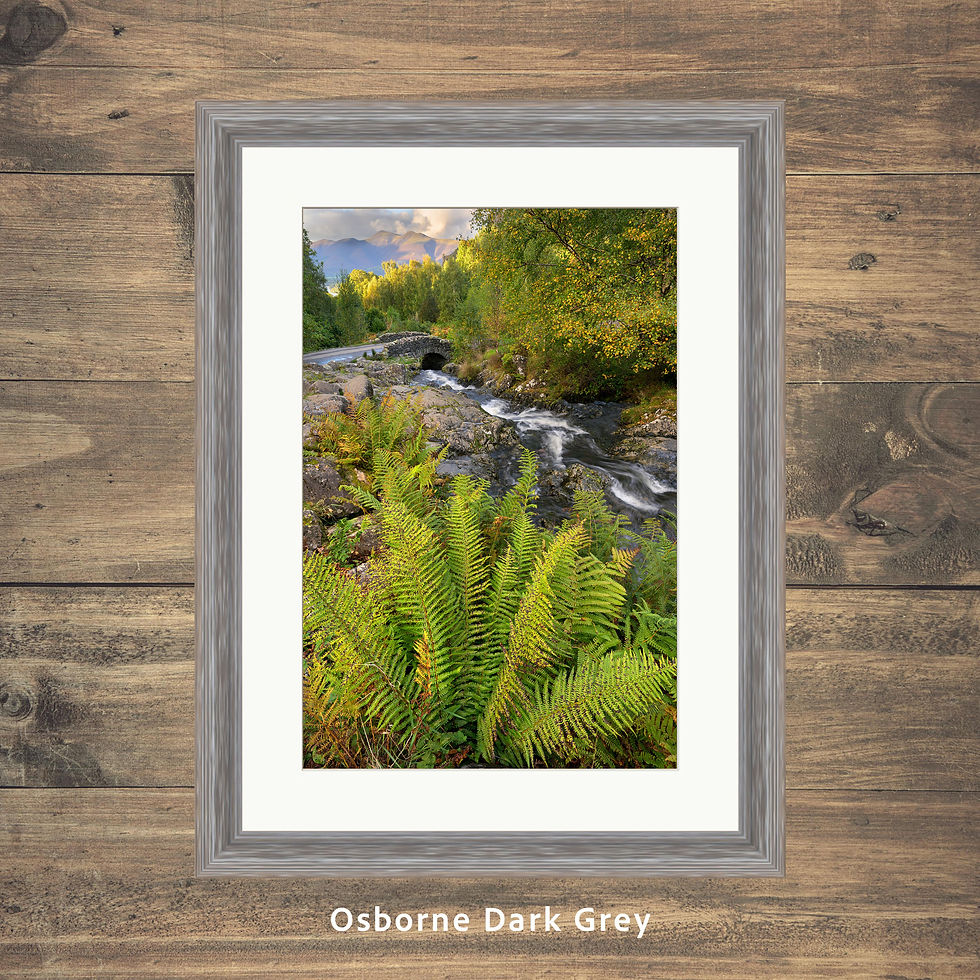 Thumbnail: Framed photography prints of the iconic Ashness Bridge on an autumn afternoon with bright green ferns. Lake District.