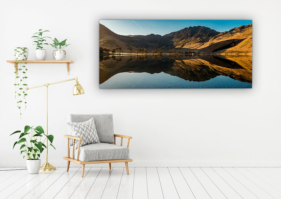 Thumbnail: Winter Pines - Buttermere, Lake District, UK