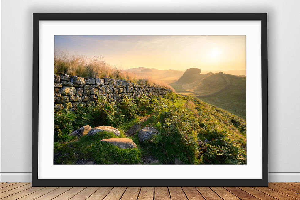 Photographic prints of a warm summer morning up Cuddys Crag, with views of Hadrian's Wall in Northumberland, UK.