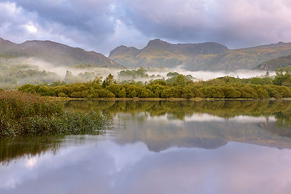 The Langdale Pikes viewed from Elterwater on a misty morning in the Lake District.