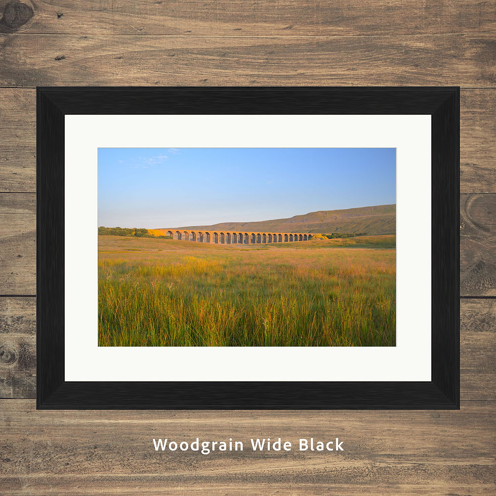 Thumbnail: Framed photography prints of a golden morning at The Ribblehead Viaduct in The Yorkshire Dales, UK.