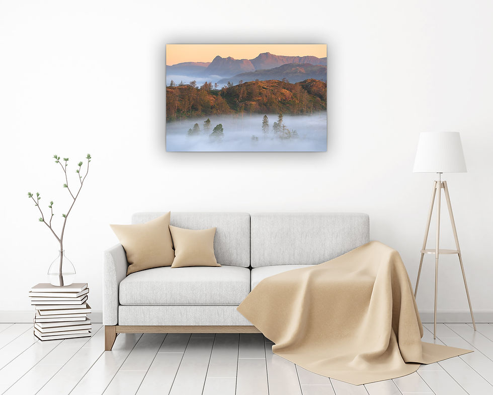 Thumbnail: Beautiful photography canvas prints of a view to The Langdale Pikes, seen from above Tarn Hows in The Lake District, UK.