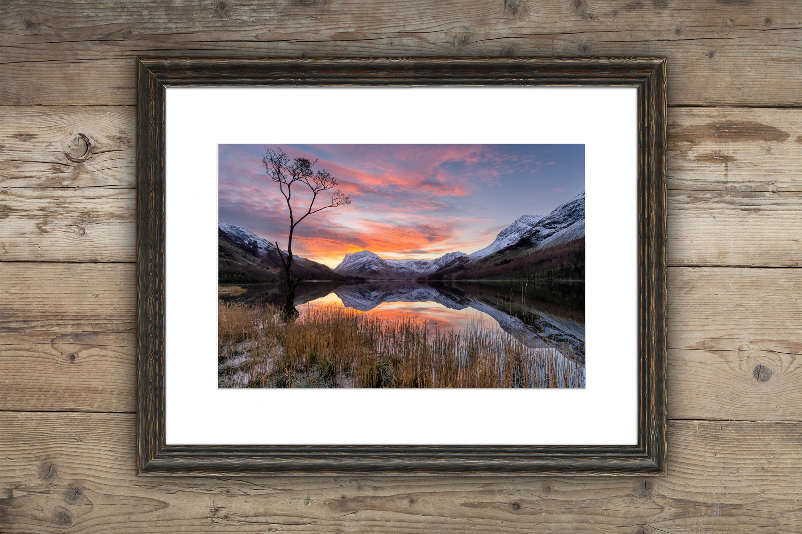 Framed photography prints of a calm winter sunrise at The Buttermere Lone Tree in The Lake District, UK.