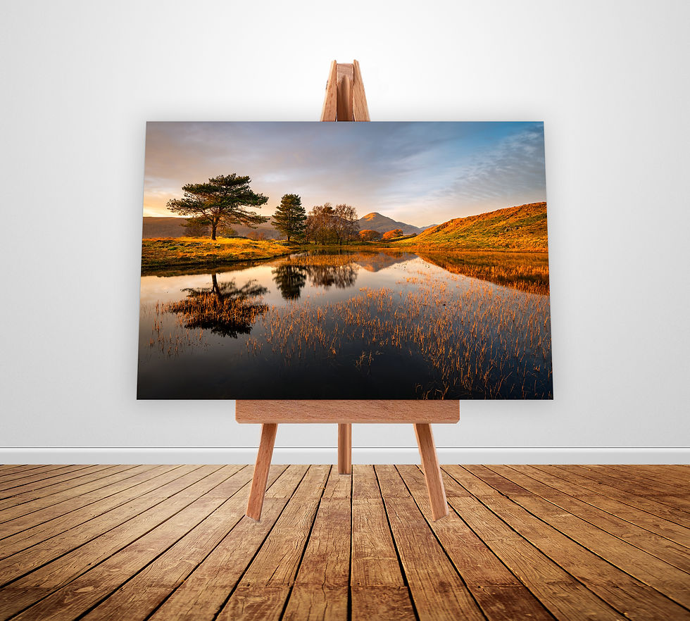 Photography canvas of a beautiful autumn evening at Kelly Hall Tarn with golden light & reflections. Coniston, Lake District