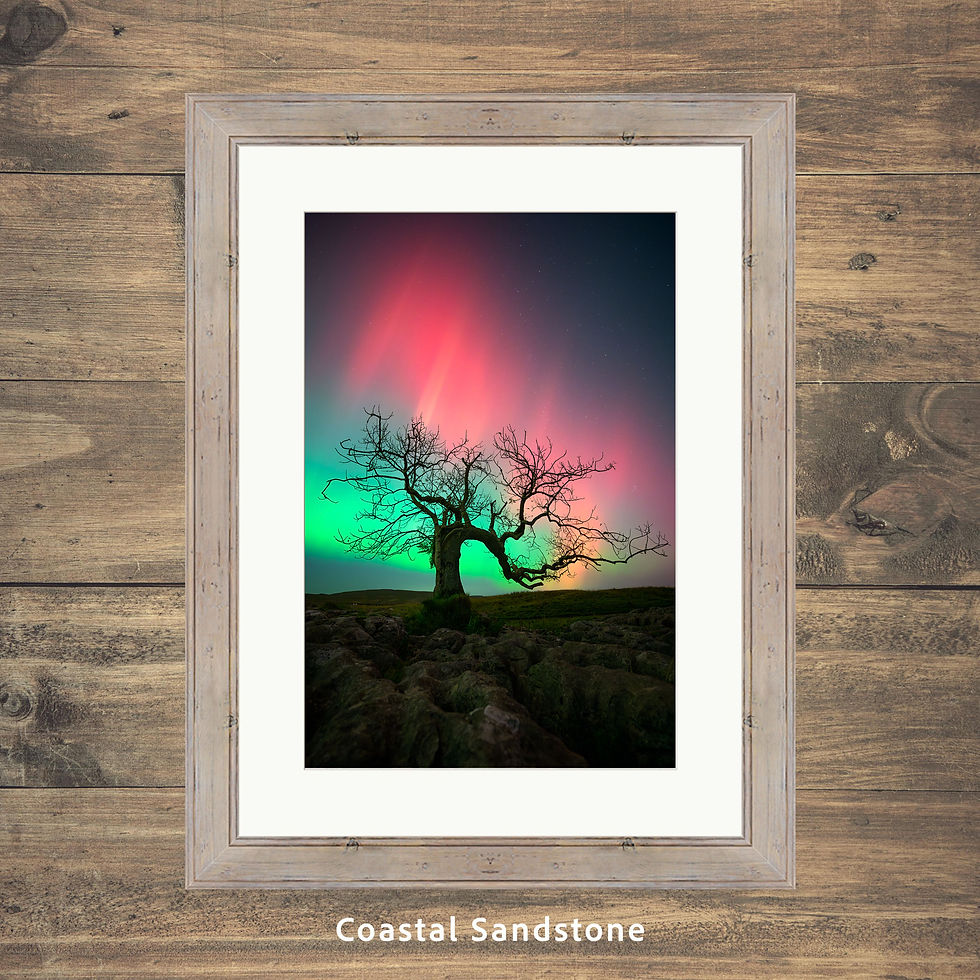 Thumbnail: Framed photography prints of The Northern Lights or Aurora Borealis over a lone tree in The Yorkshire Dales, UK.