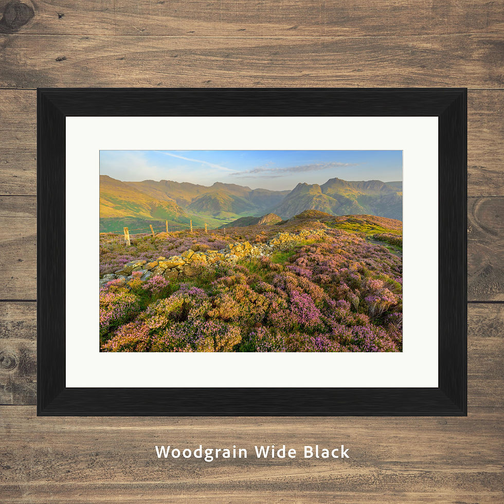 Thumbnail: framed photography prints of a view overlooking blooms of heather on Lingmoor Fell on a summer morning.
