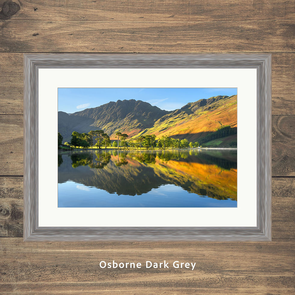 Thumbnail: Framed photography prints of the Buttermere pines & Char cottage on an autumn morning with Haystacks. Lake District, UK.