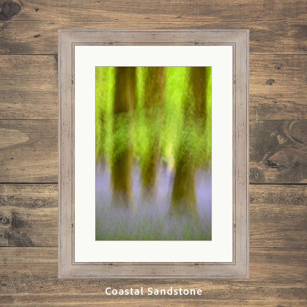 Thumbnail: Framed photography prints of an abstract bluebell forest scene in a beautiful Dorset woodland, using a technique known as ICM