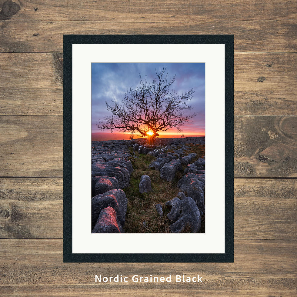 Framed photography prints of a sunset & lone tree at Twistleton Scar in The Yorkshire Dales National Park, UK.