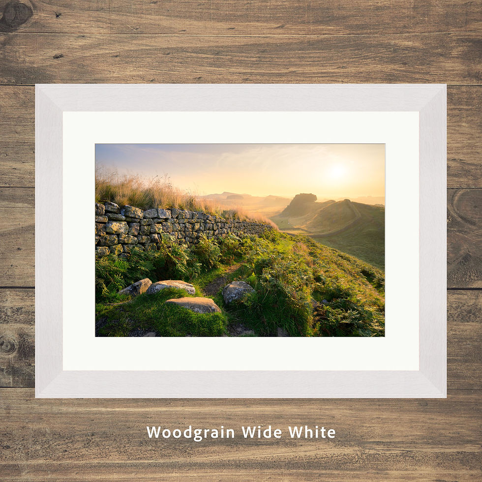 Thumbnail: Framed photography prints of a warm summer morning with golden light at Cuddys Crag, Hadrians Wall, Northumberland, UK.