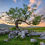 Thumbnail: Framed photography prints of a windswept lone ash tree on a summer evening in The Yorkshire Dales, UK.