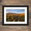 Thumbnail: Framed photography prints of the Ribblehead Viaduct with beautiful golden morning light, Yorkshire Dales National Park, UK.