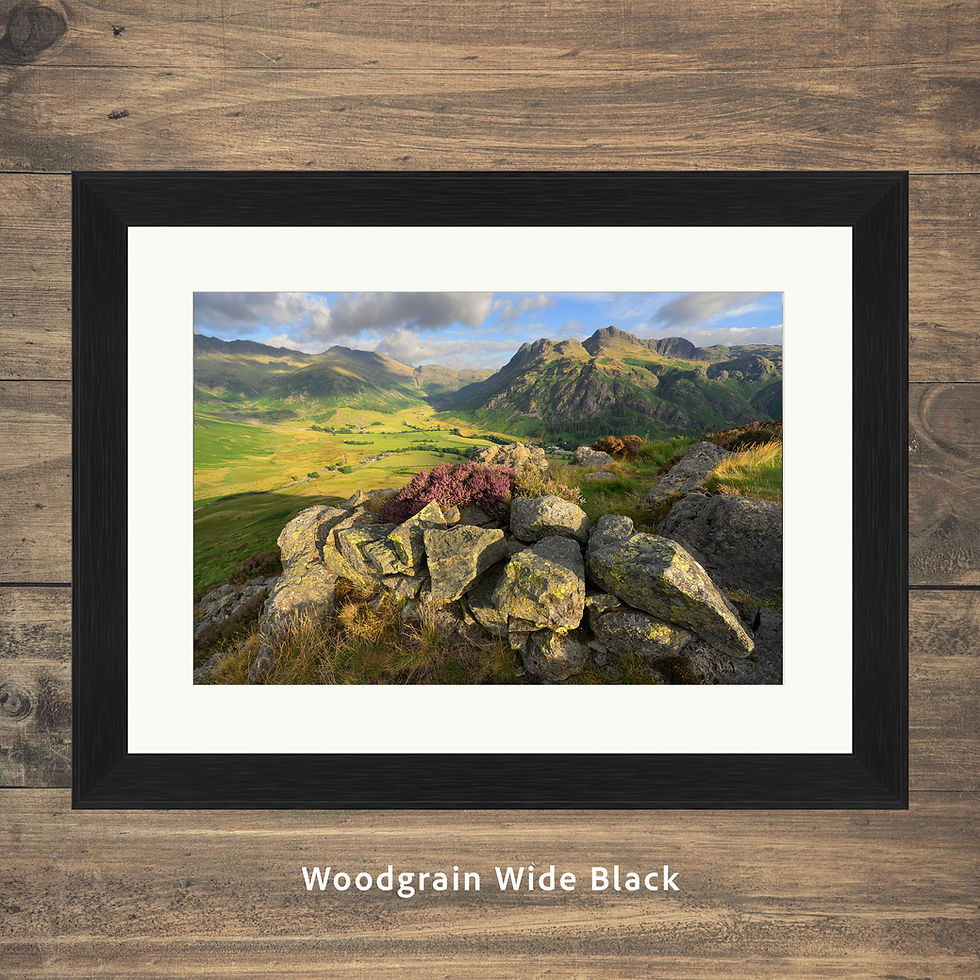 Thumbnail: Framed photo prints of an ancient dry stone wall with heather, overlooking The Langdale Pikes and Mickleden Valley.