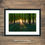 Thumbnail: Framed photography prints of magical bluebell forest at sunrise in the stunning county of Dorset, UK.