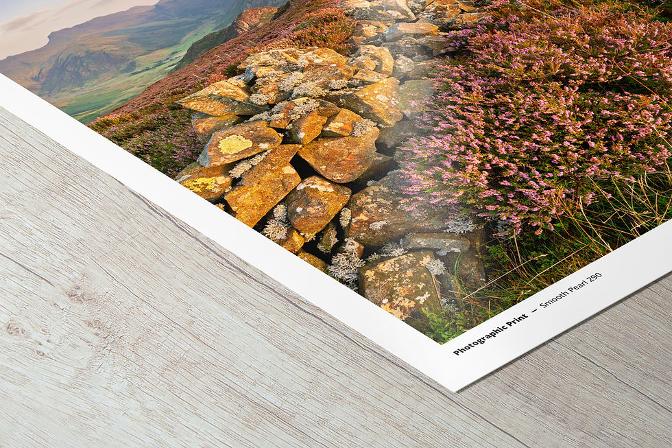 Thumbnail: a beautiful summer morning looking towards the iconic Langdale Pikes over a heather-filled Lingmoor Fell in The Lake District