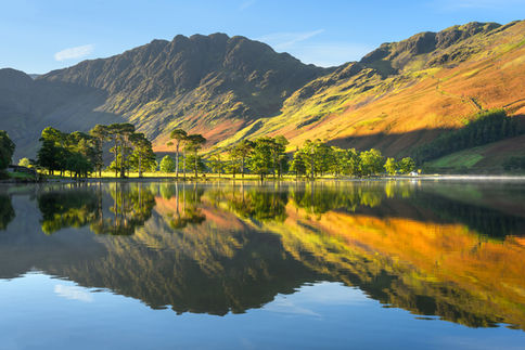A view of the iconic picturesque pine trees on the shoreline of Buttermere in The Lake District, UK. Taken in late september, beautiful golden light produced rich vibrant autumnal colours with perfect reflections in the water.