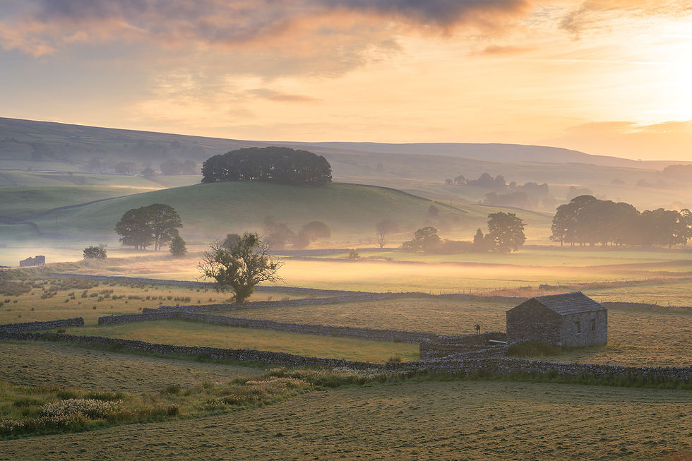 A peaceful morning view of a stone barn and green fields on a misty morning in Wensleydale, Yorkshire Dales National Park.