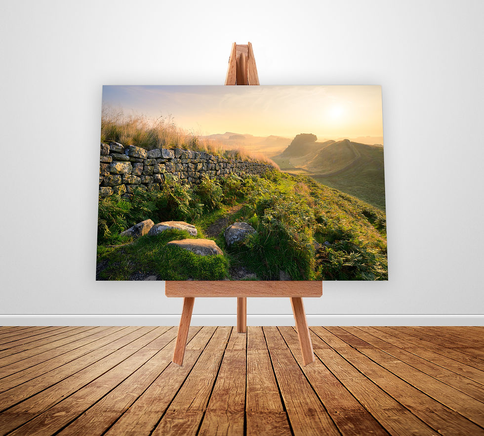 Photographic canvas prints of a warm summer morning up Cuddys Crag, with views of Hadrian's Wall in Northumberland, UK.