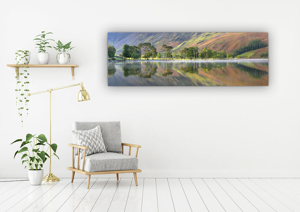 Thumbnail: Beautiful photography canvas prints of a panoramic view of the Buttermere pines on an autumn morning in the Lake District, UK