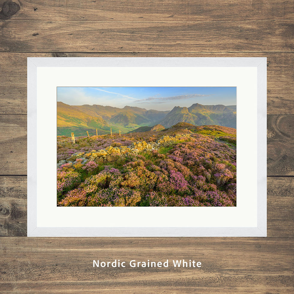 Thumbnail: framed photography prints of a view overlooking blooms of heather on Lingmoor Fell on a summer morning.