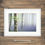 Thumbnail: Framed photography prints of tall beech trees in a misty Dorset woods, surrounded by Bluebells on a spring morning.