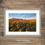 Thumbnail: Framed photography prints of the Ribblehead Viaduct with beautiful golden morning light, Yorkshire Dales National Park, UK.