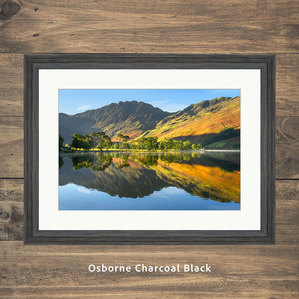 Thumbnail: Framed photography prints of the Buttermere pines & Char cottage on an autumn morning with Haystacks. Lake District, UK.