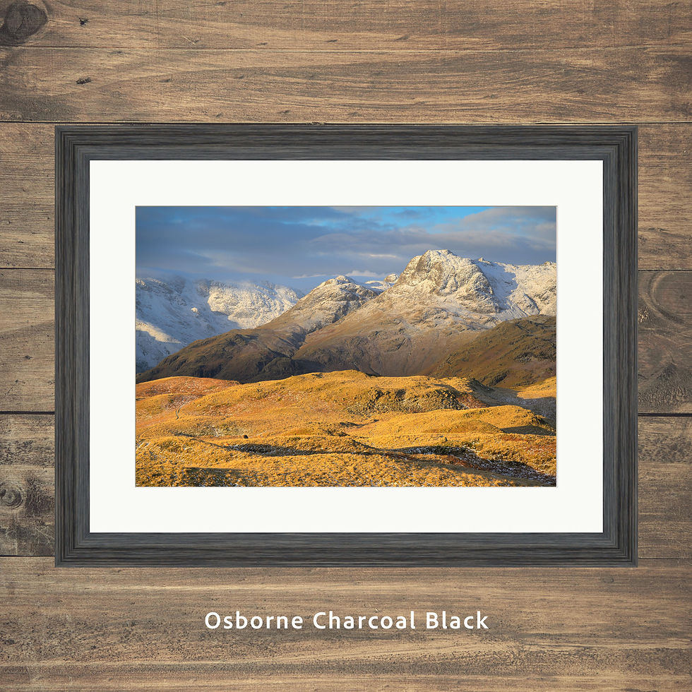 Thumbnail: dramatic winter views with golden morning sunlight over Blea Rigg and The Langdale Pikes in The Lake District, UK.
