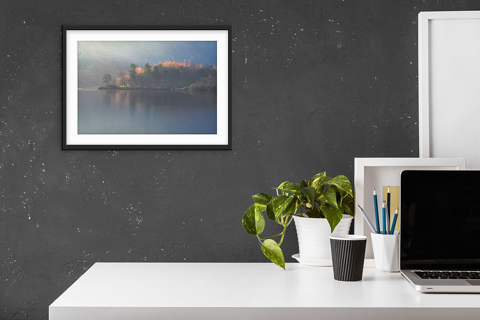 Thumbnail: Photography prints of a row of trees on the shoreline of Derwentwater towards Borrowdale catching the golden morning light
