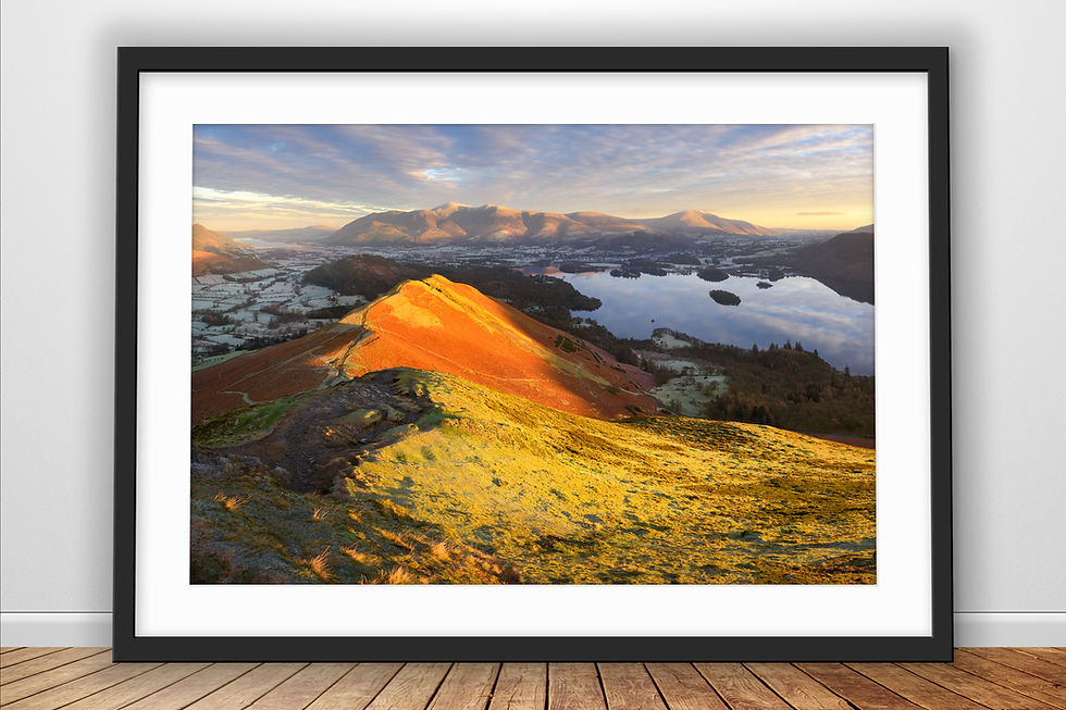 Beautiful golden hour light with autumn tones on Catbells, overlooking Derwentwater, Keswick and Skiddaw in The Lake District
