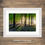 Thumbnail: Framed photography prints of an inspirational spring scene in a Dorset bluebell forest with golden light and long shadows