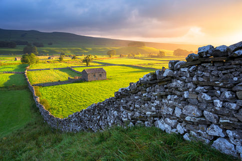 Beautiful summer morning light in Wensleydale in The Yorkshire Dales National Park, UK.