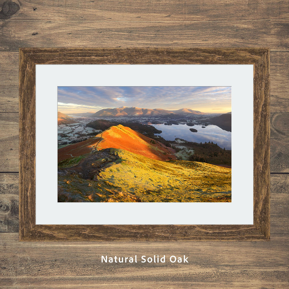 Thumbnail: Glorious golden hour morning views seen from Catbells, overlooking Derwentwater, Keswick and Skiddaw in The Lake District.