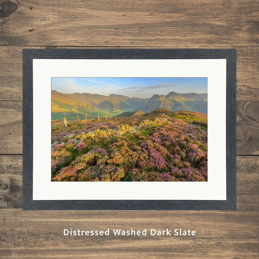Thumbnail: framed photography prints of a view overlooking blooms of heather on Lingmoor Fell on a summer morning.