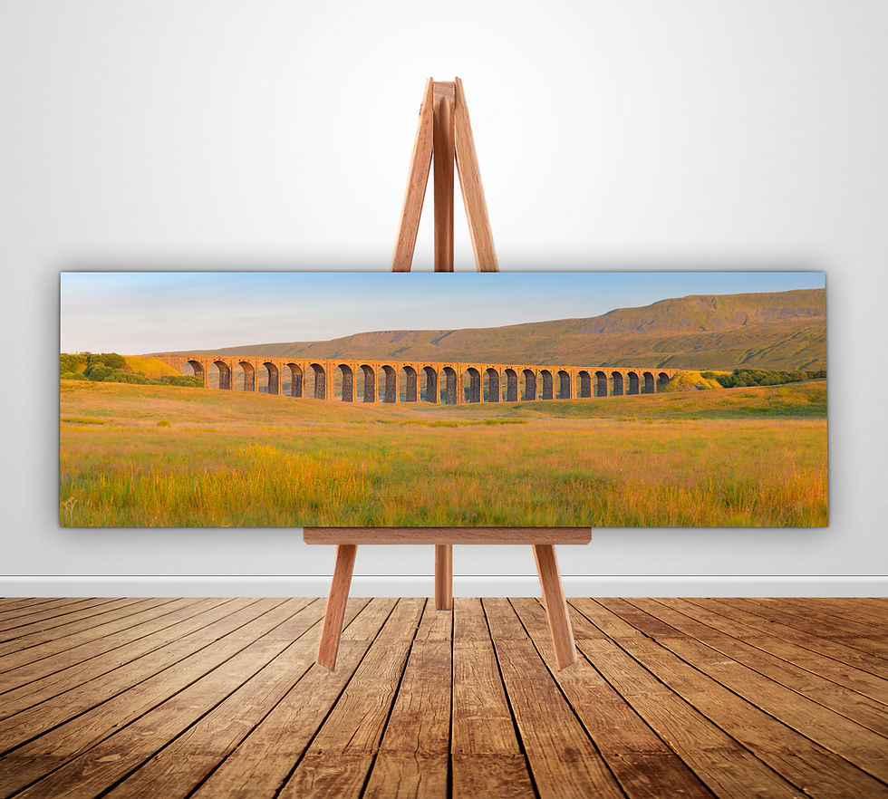 Beautiful photography canvas prints of The Ribblehead Viaduct on a fresh Summer morning with golden light. Yorkshire Dales.