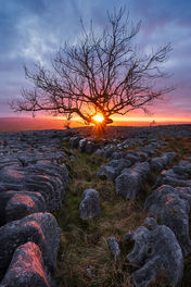 Beautiful sunset at Yorkshire Dales limestone pavement.
