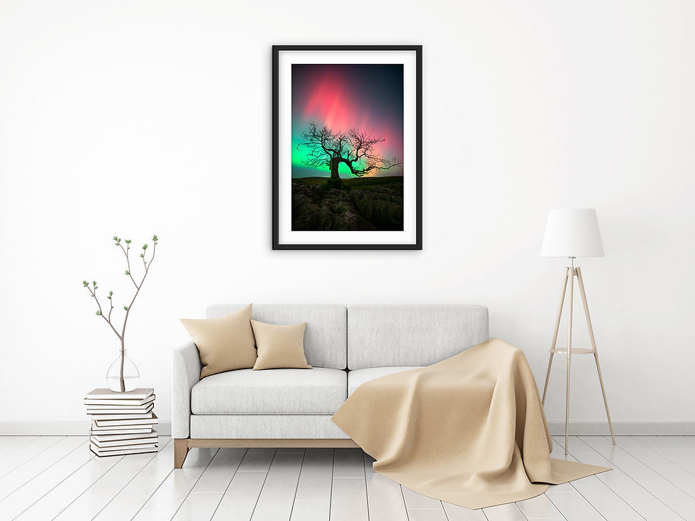 Thumbnail: Photography prints of The Aurora Borealis directly over a stunning lone tree in The Yorkshire Dales, UK.