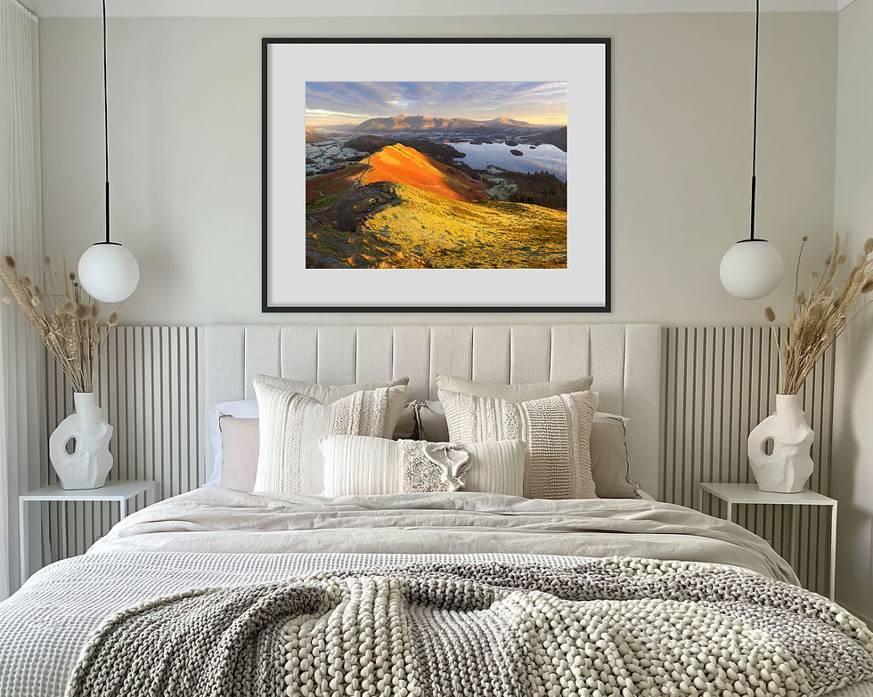 Thumbnail: Beautiful golden hour light with autumn tones on Catbells, overlooking Derwentwater, Keswick and Skiddaw in The Lake District