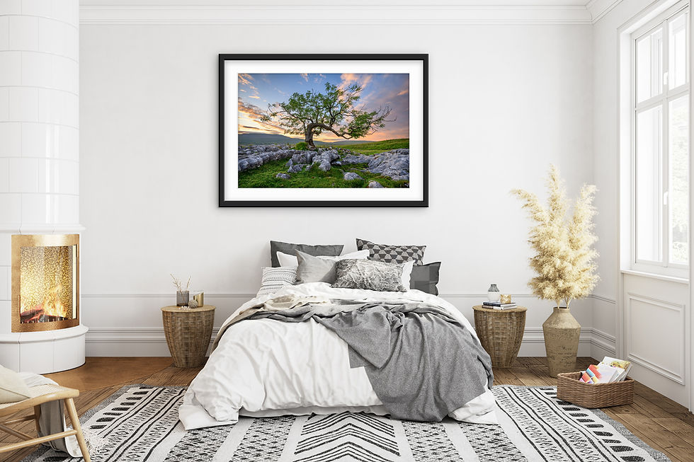 Thumbnail: Photography prints of a lone tree near Ribblehead Viaduct on a Summer evening in The Yorkshire Dales, UK.