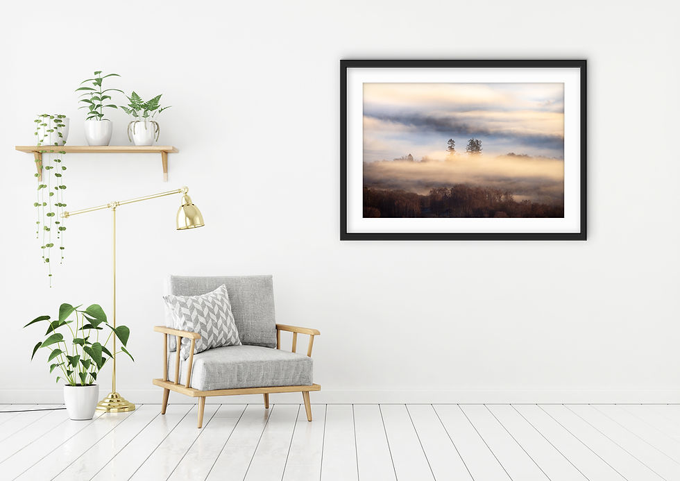 Thumbnail: Photography prints of a beautiful group of trees poking out of the morning mist at Windermere in The Lake District