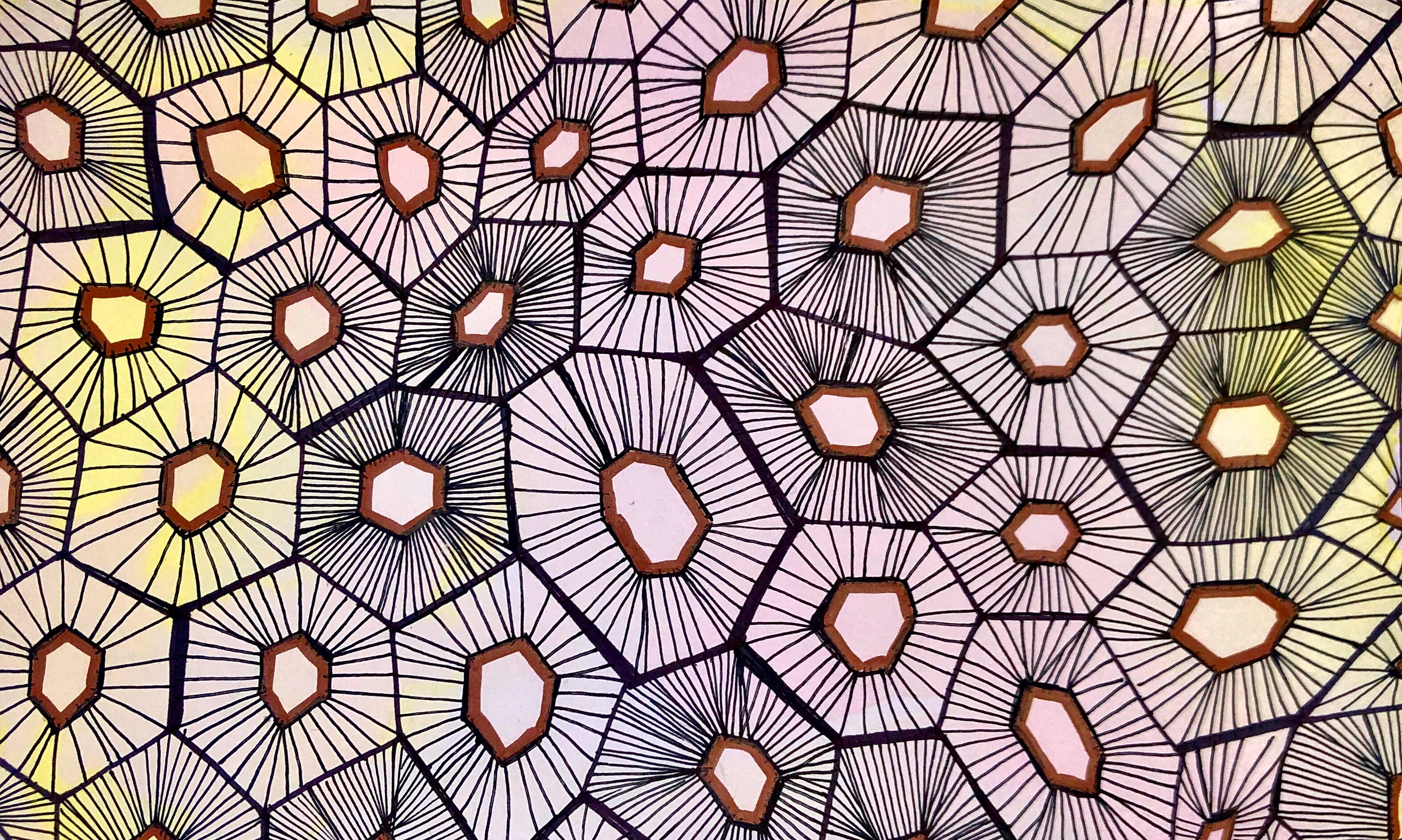 floral fossi