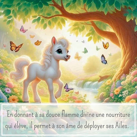 UNIS TOI 8.png