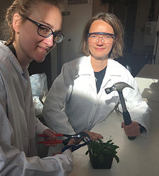 CRISPR Cas9.jpeg