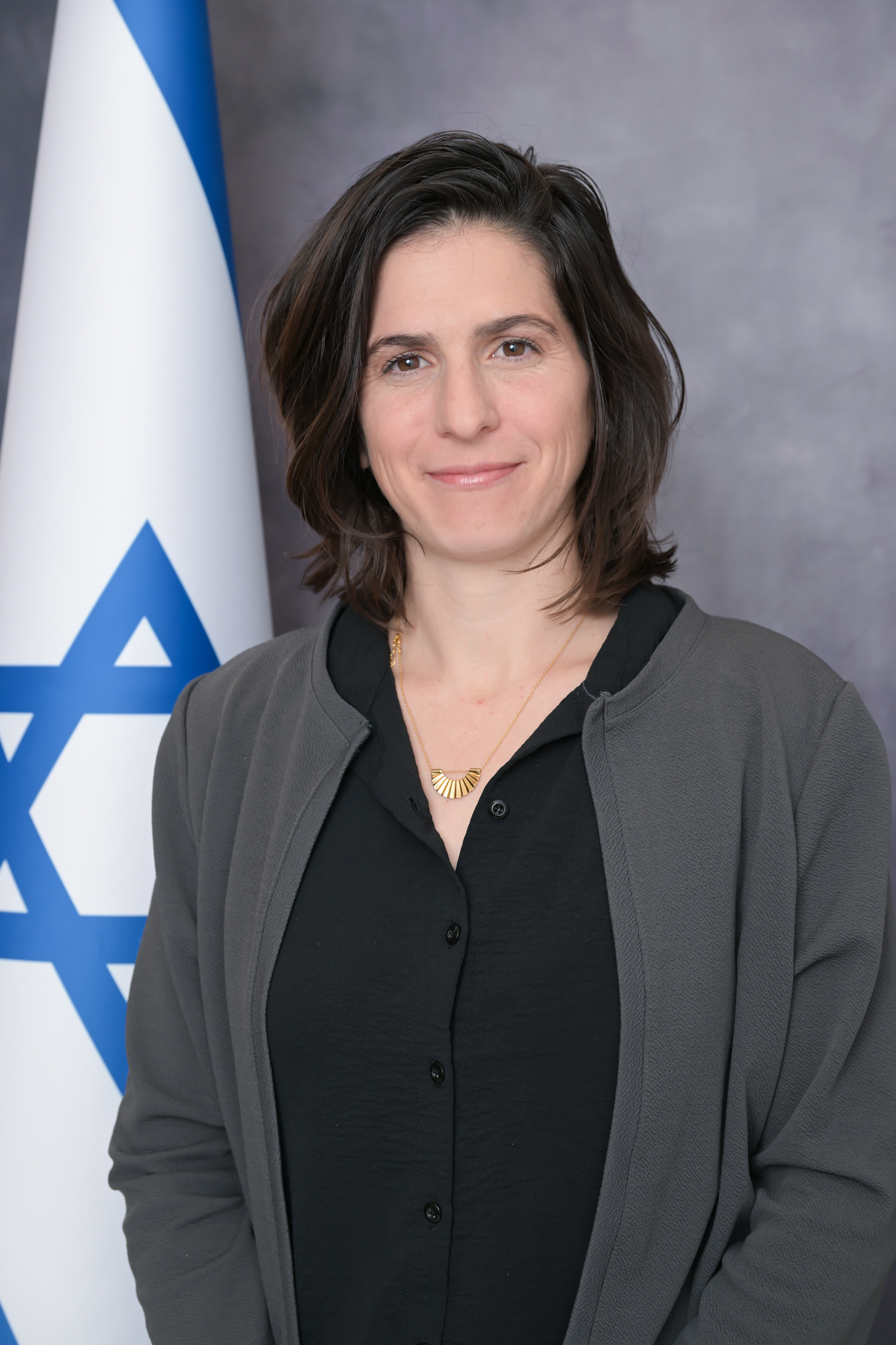 שרון-חצור.png