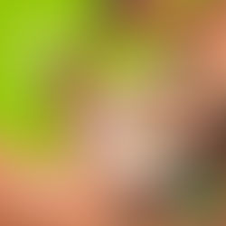 CVG RS COMEMORA 32 ANOS COM TRADICIONAL FEIJOADA